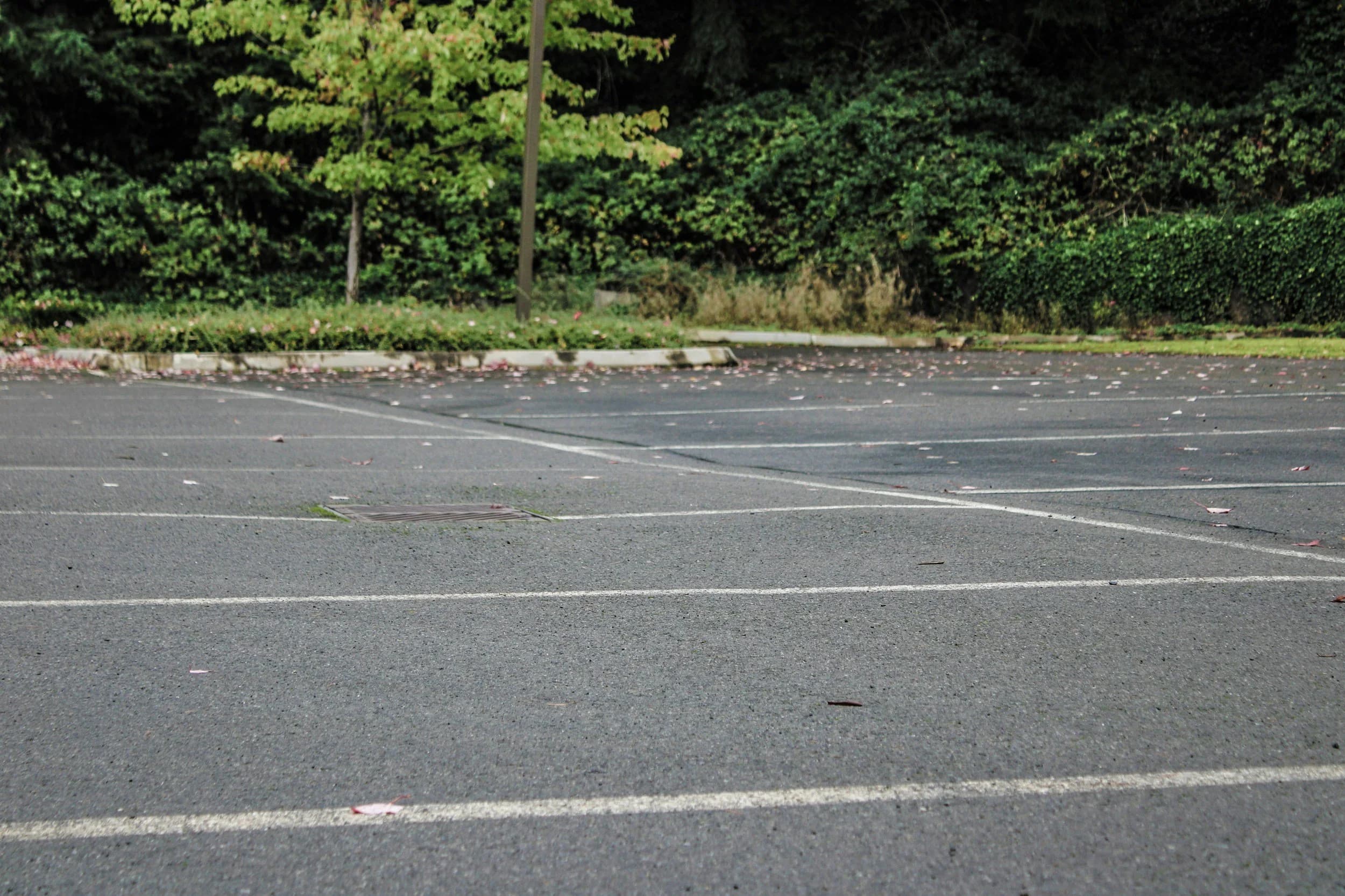 Commercial Parking Lot Sweeping in Knoxville, TN