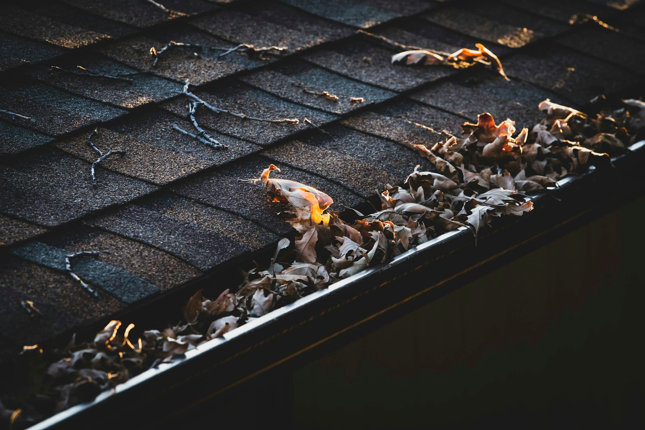 Commercial Gutter Cleaning & Maintenance in Knoxville, TN