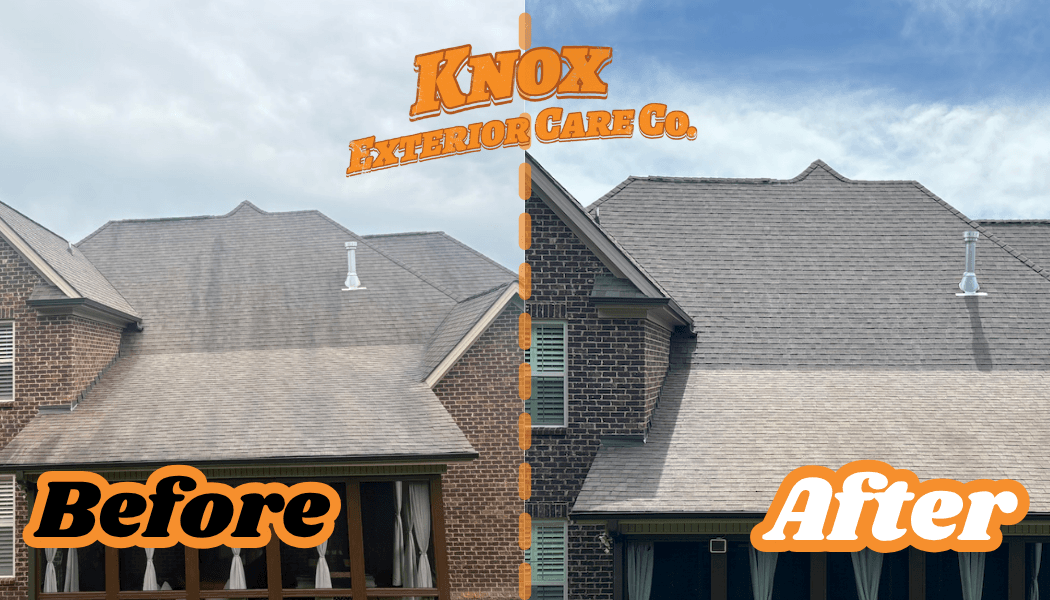Residential Roof & Gutter Cleaning in Knoxville, TN