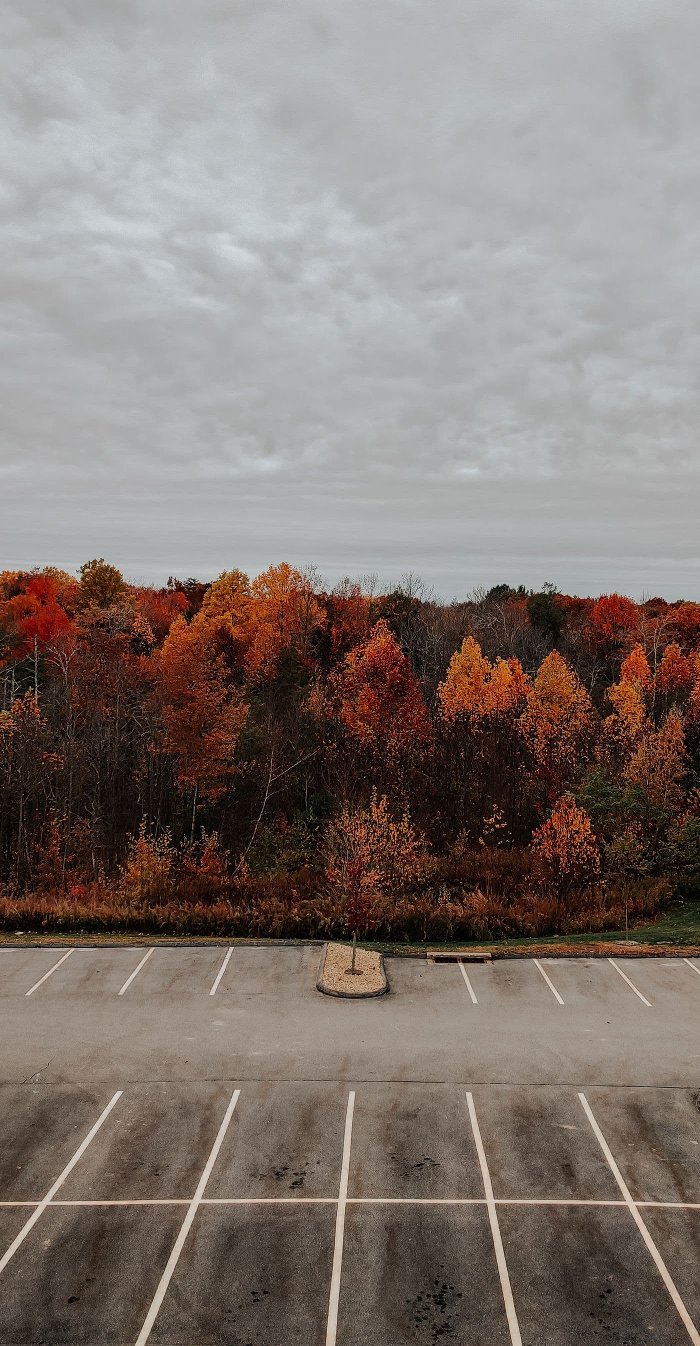 Parking Lot Sweeping by Knox Exterior Care Company in Knoxville, TN